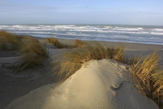 Cote Dune Ле-Кротуа Экстерьер фото